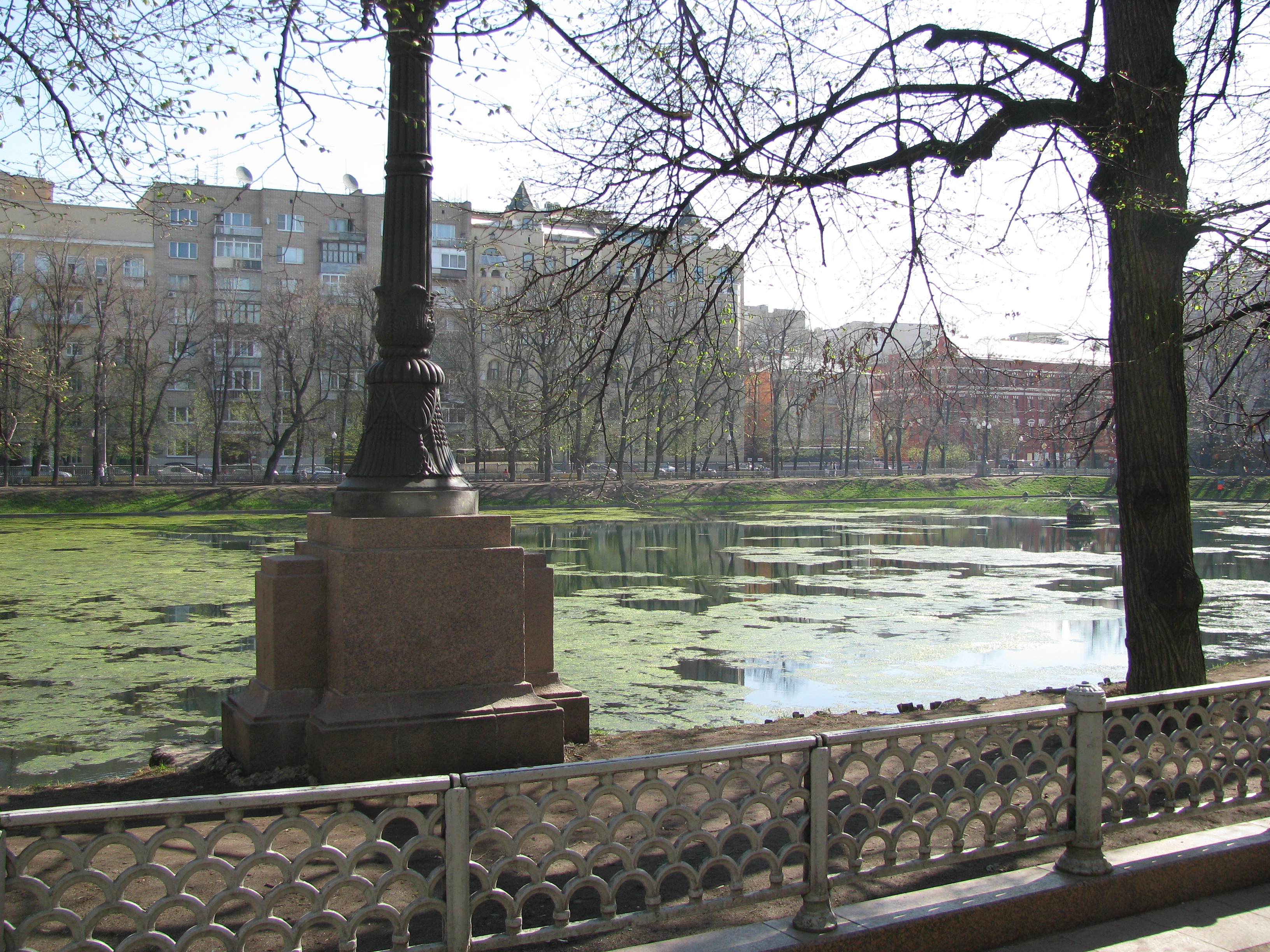 Patriarch Pond in Central Moscow